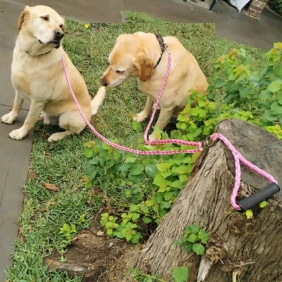 $20.95 • Buy Duplex Double Dog Coupler Twin Lead Rope For 2 Way Two Pet Dogs Walking Leash