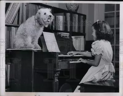 1949 Press Photo Organ Player Patricia Typond & Singing Poodle - Nea16467 • $19.99
