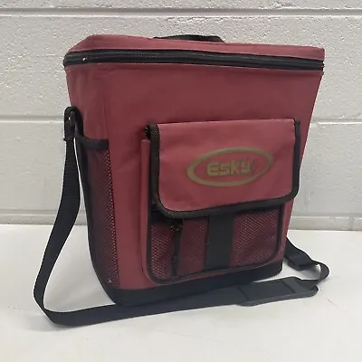 ORIGINAL Esky Beer Food Drink Travel Bag Insulated Cooler Camp Mancave 4WD • $9.99