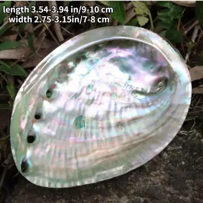 1X Natural Abalone Shell Wooden Stand Incense Holder Sage Smudge Bowl Cleansing • £10.79