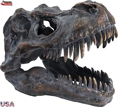 Tyrannosaurus Large Skull Dinosaur Bone Big T-Rex Head Resin Fossil Model Histor • $299.99