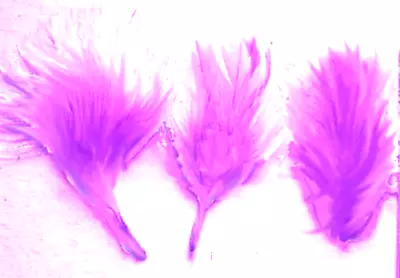 Marabou Feathers Small 1-3  Fluffs Lavander 7 Grams Approx. 105 Per Bag • $2.65