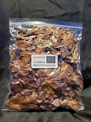 Mix Of Oak And Beech Leaf Litter (2 Gallon Bag) • $12.99