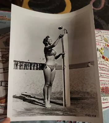  Vera Miles Irving Klaw Archives Movie Star News Vintage Photo 8x10 1970s #2 • $8.99