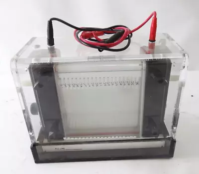 Owl Dual-gel Electrophoresis System P9DS • $170