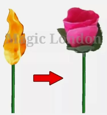 £2.99 • Buy Flame To Rose Torch To Rose Fire To Rose Flame To Flower Fire To Rose Flower 