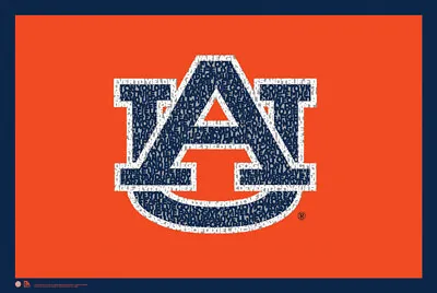 Auburn Tigers Football WAR EAGLE! Fight Song NCAA Logo 24x36 WALL POSTER • $17.99