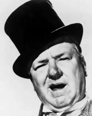 Wc Fields Dvd - 8 Movies Shorts Films (1915-1940) Mabel Normand • $22.25