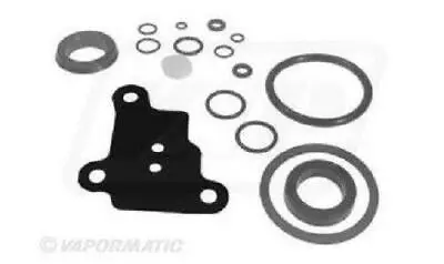 £20.29 • Buy For Massey Ferguson Power Steering Ram Repair Kit 165, 168, 175, 178