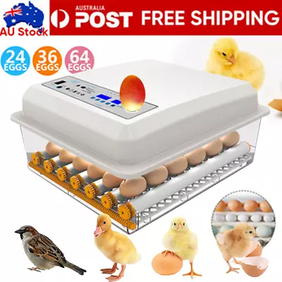 64 Eggs Digital Egg Incubator LED Fully Automatic Turning Chicken Duck Poultry • $27.94