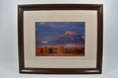 Thomas Mangelsen Changing Seasons Limited Edition Grand Teton National Park 1980 • $995