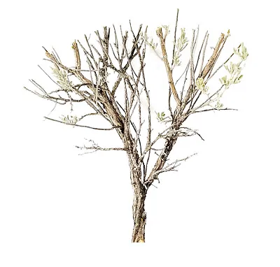 SAGEBRUSH Deciduous Wargaming Railroad Miniature TREE ARMATURES Scale Scenery • $1.99