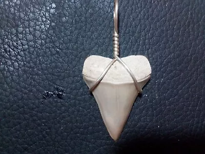 Beautiful 1.3 Mako Sharks Tooth Pendant With Sterling Silver Hand Wrap • $18.99
