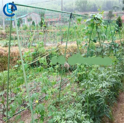 Heavy-Duty Garden Plant Climbing Net Trellis Netting Mesh Support Fruits Veggie • $123.23