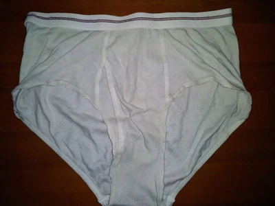 $28.99 • Buy Mens Vintage 70s 80s HANES Underwear Briefs L