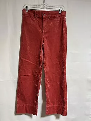 LOFT Coral Velvet Velour Straight Leg Chino Style Pants Sz. 27/4 • $26