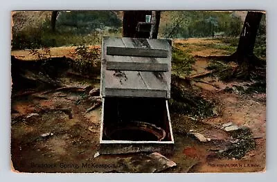 McKeesport PA-Pennsylvania Braddock Spring Antique Vintage Postcard • $8.99