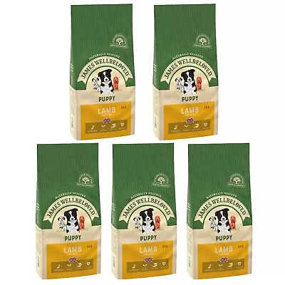 James Wellbeloved Puppy Dog Lamb & Rice Kibble Dog Food 10kg • £53.33