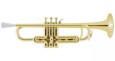 ZO Plastic Trumpet TP-08 Color: Champagne Gold Key B Flat Lightweight Japan • $272.51