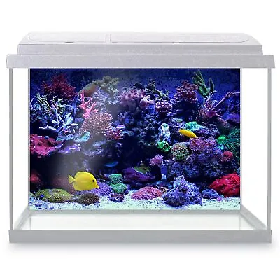 Fish Tank Background Coral Reef Colorful Nature Saltwater • £9.99