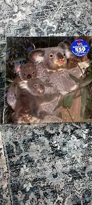 Waddington Sanders Koala Puzzles 550 Piece New • $10