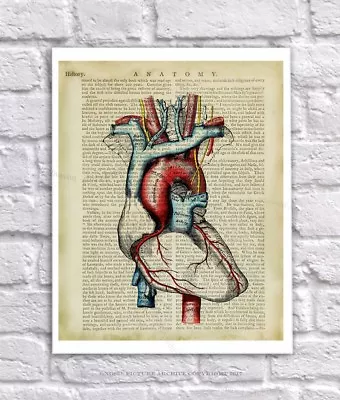 Anatomy Art Print Human Heart Unframed Vintage Anatomy Book Page Collage Art • $12