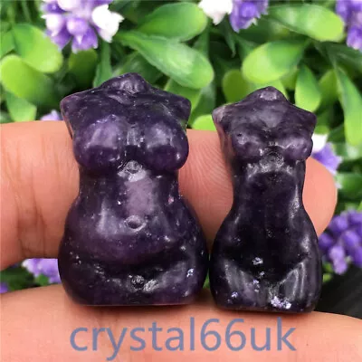 1pc Natural Lepidolite Small Sexy Goddess Carved Quartz Crystal Skull Healing • $13.32