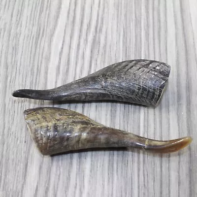 2 Small Polished Goat Horns #7743 Natural Colored • $17