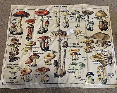 Mushroom Tapestry • $9