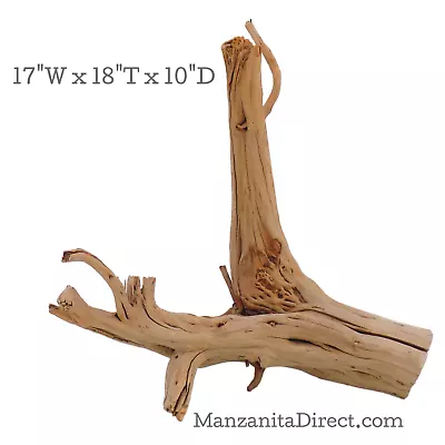 Manzanita Driftwood Stump Aquarium Or Reptile Decor From ManzanitaDirect 0320-9 • $83