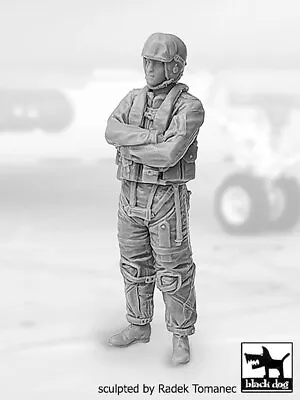 Black Dog 1/32 Modern US Navy Fighter Pilot No.1 Standing Arms Crossed F32151 • $23.97