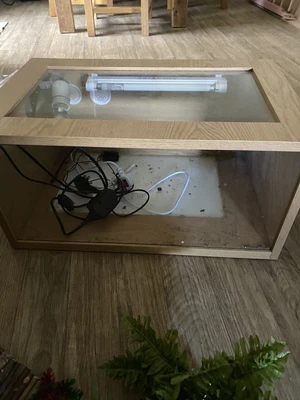 £100 • Buy HabiStat Leopard Gecko Starter Kit, With Extras