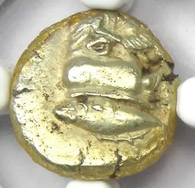 Greek Mysia Cyzicus EL Hecte Coin 500-450 BC (Kyzikos) - Certified NGC Choice VF • $1122.98