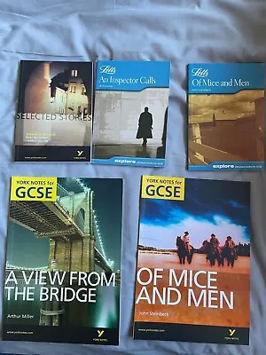 GCSE/A Level English Letts / York Notes Study Books • £10