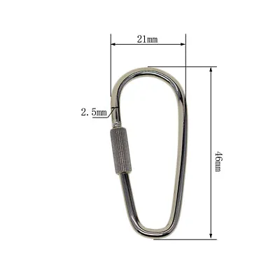10pcs Steel Carabiner D-Ring Locking Carabiner Key Chain Clip Hook Screw Gate • £5.81