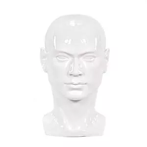 Male Mannequin Head Professional Manikin Head For Display Wigs Hats L30white • $42.17