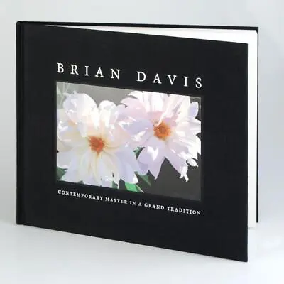 Brian Davis  Contemporary Master In A Grand Tradition  Fine Art Book • $75
