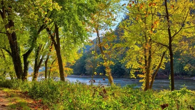 $599 • Buy 2023~Virginia PINES RESORT~ Basye, VA,~1 AND 3 BR CONDOS MOUNTAIN SLPS 4/8