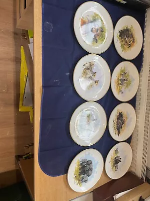 Wedgwood Spink David Shepherd 8 African Wildlife Collector Plates • £40