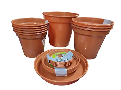 Plastic Plant Pots And Tray Saucers Terracotta Garden Flowers Growing Planting • £5.99