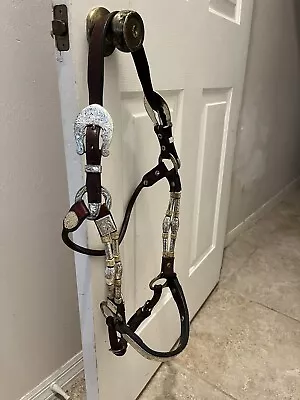 Circle Y Leather Silver And Rawhide Horse Show Halter With Lead • $170