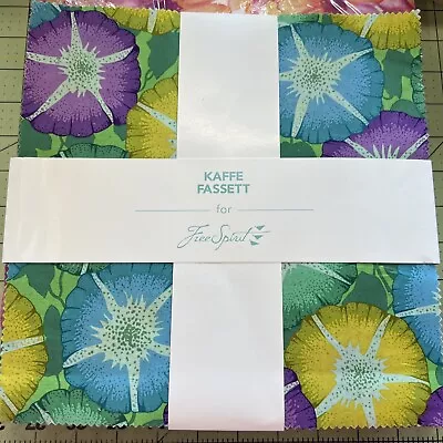 Kaffe Fassett For Free Spirit 10” Squares Classics Shade • $36