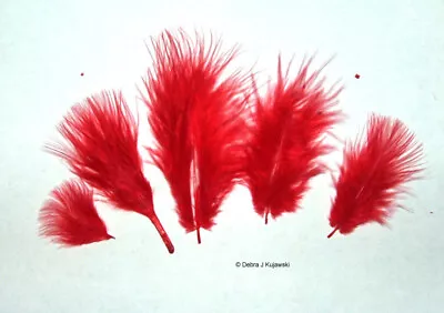 Marabou Feathers Small 1-3  Fluffs RED 7 Grams Approx. 105 Per Bag • $2.65