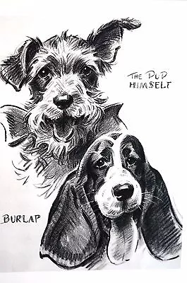 Morgan Dennis 1946 PUP And BURLAP -  TERRIER And BASSET HOUND Vintage Dog Print • $25