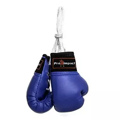 Mini Boxing Gloves - Miniature Punching Gloves - Holiday Christmas Blue • $17.09