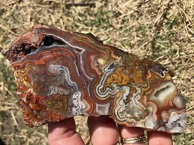 Crazy Lace Agate Slab (Mexico) • $20