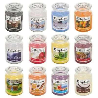 Lilly Lane 18oz Large Scented Candles In Glass Jar Fragrance Aromatic Home Gift • £4.99