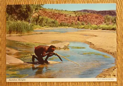 1970's POSTCARD AUSTRALIAN ABORIGINE FISHING By JOHN HINDE 33G • $9.95