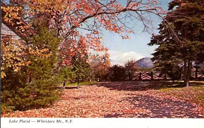 Whiteface Mt. New York Lake Placid Adirondack Foliage Vintage Postcard • $4.95