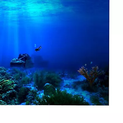 Adhesive Seaworld Background Poster For Aquarium Fish Tank Decoration 61 X 3 HLF • $17.12